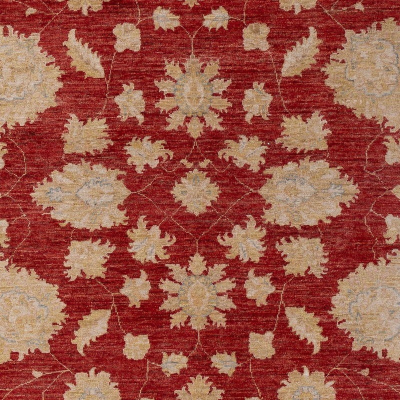Alfombra Ziegler - 295 x 201 cm - rojo oscuro