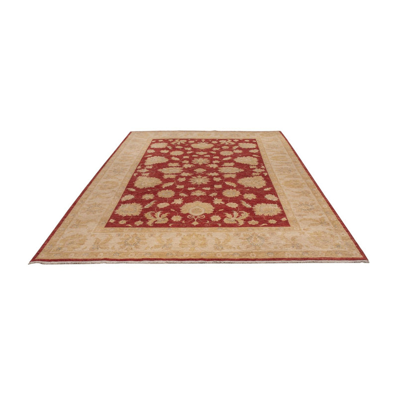 Alfombra Ziegler - 295 x 201 cm - rojo oscuro
