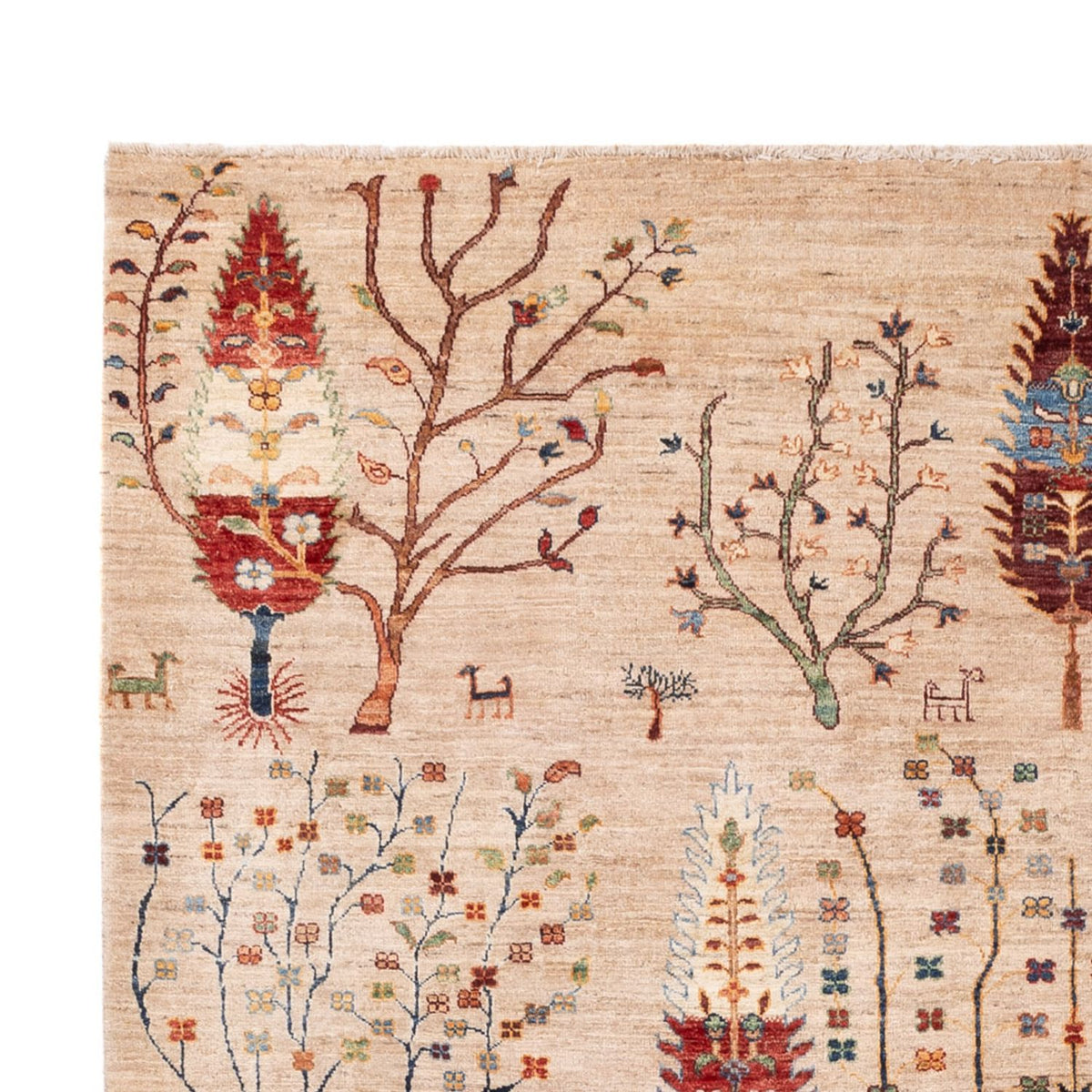 Alfombra Ziegler - Ariana - 312 x 212 cm - beige