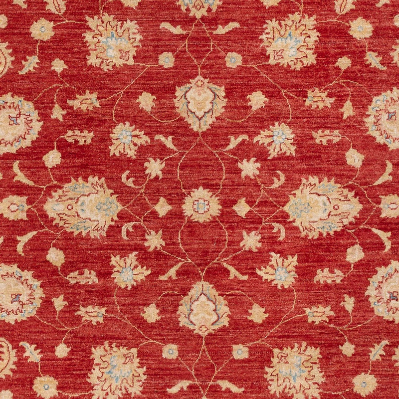Alfombra Ziegler - 295 x 204 cm - rojo