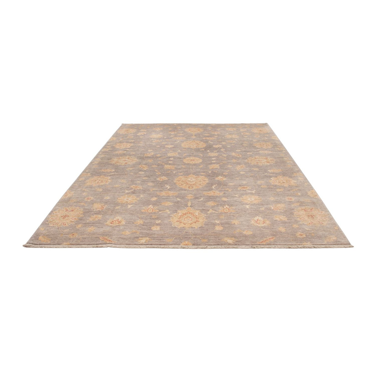 Alfombra Ziegler - Moderna - 296 x 206 cm - gris oscuro
