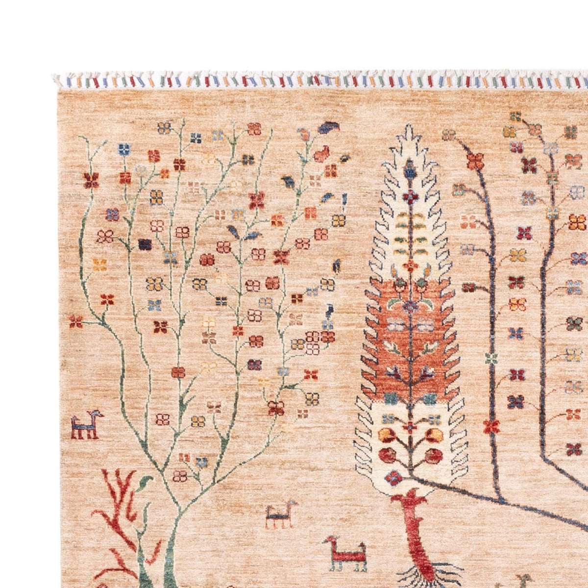 Alfombra Ziegler - Ariana - 295 x 204 cm - beige