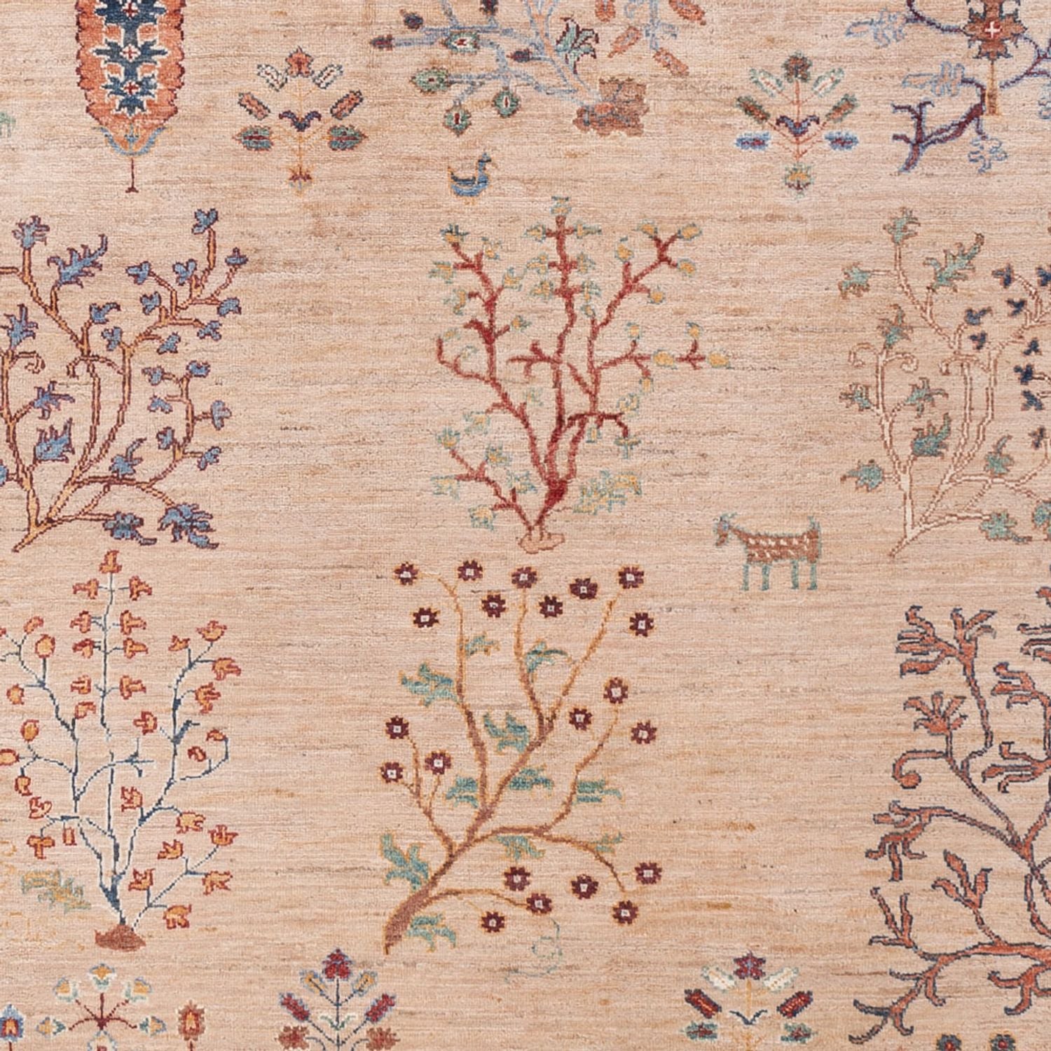 Alfombra Ziegler - Ariana - 293 x 206 cm - beige