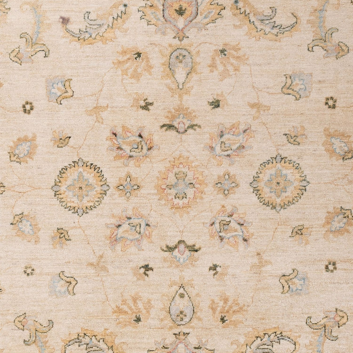 Alfombra Ziegler - 304 x 204 cm - beige