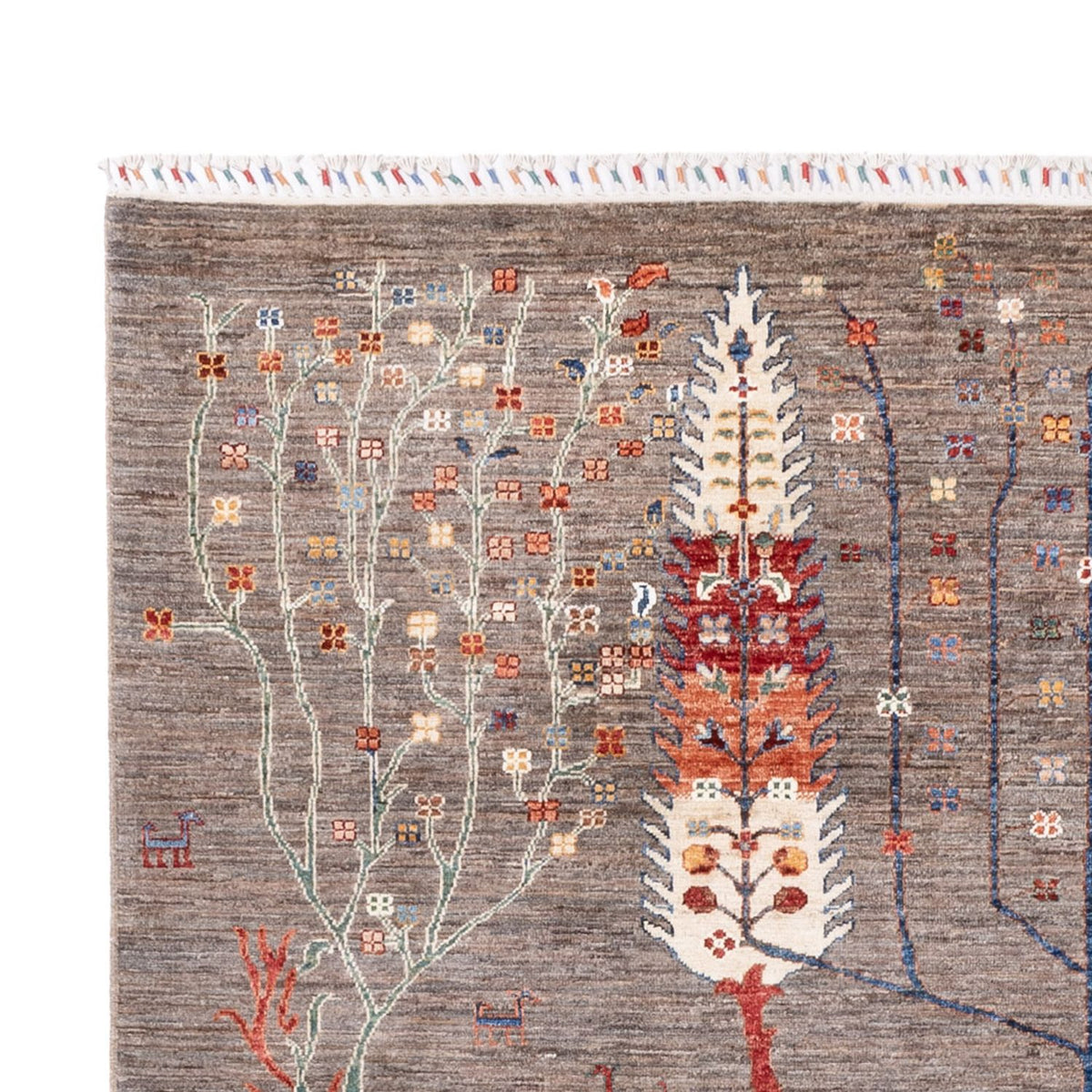 Alfombra Ziegler - Ariana - 298 x 200 cm - beige oscuro