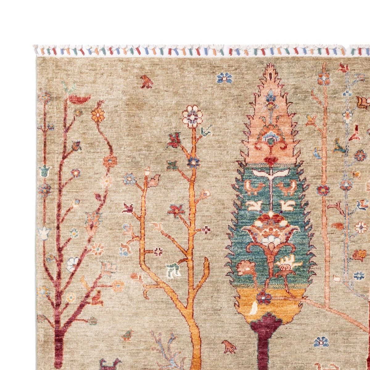 Alfombra Ziegler - Ariana - 290 x 207 cm - arena