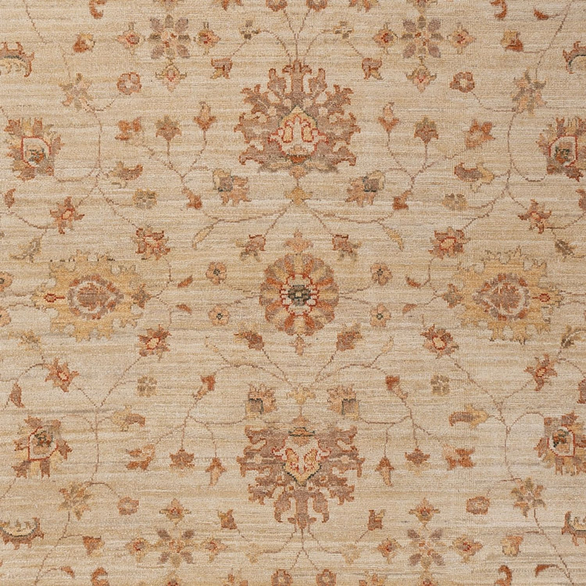 Alfombra Ziegler - 306 x 205 cm - beige