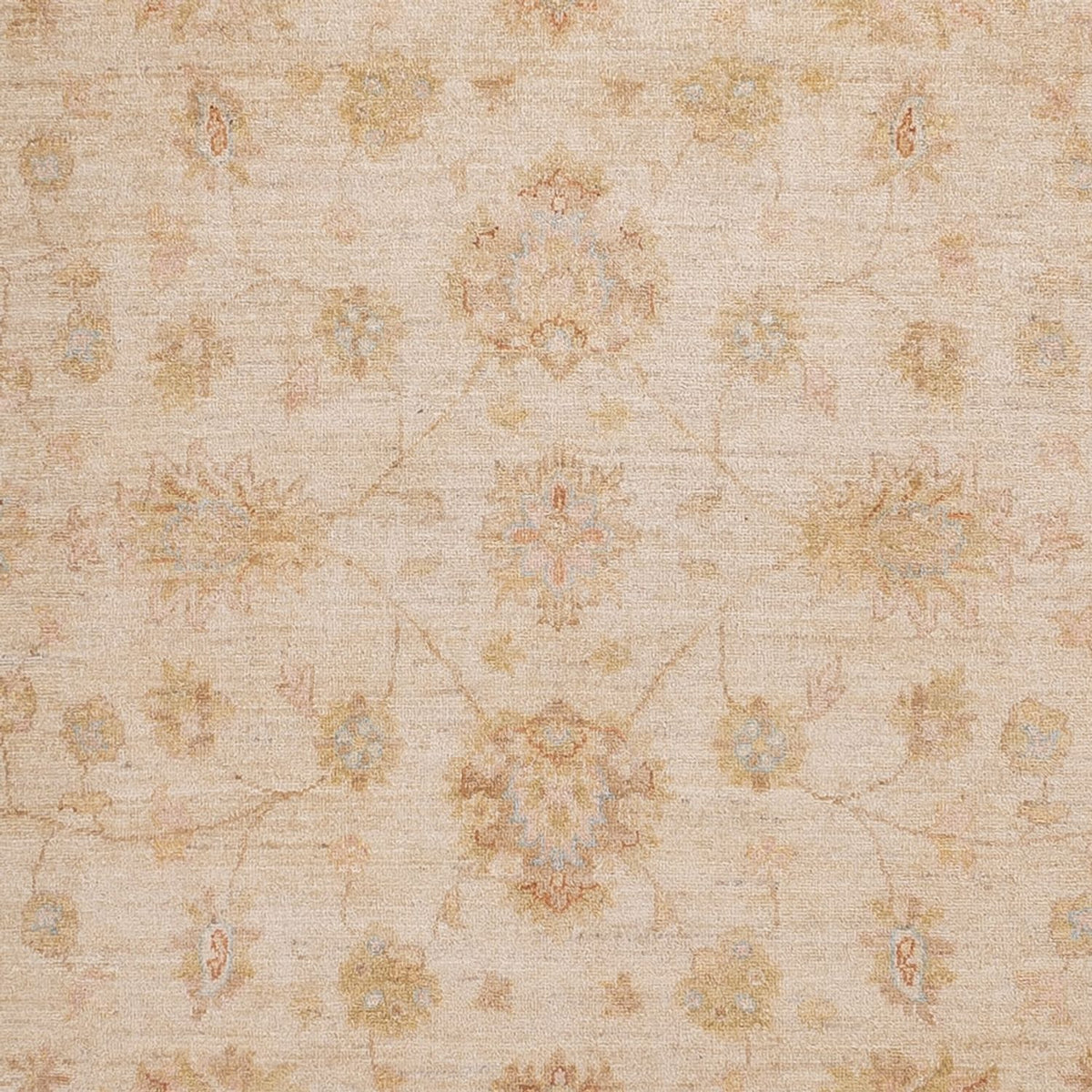 Alfombra Ziegler - 301 x 257 cm - beige