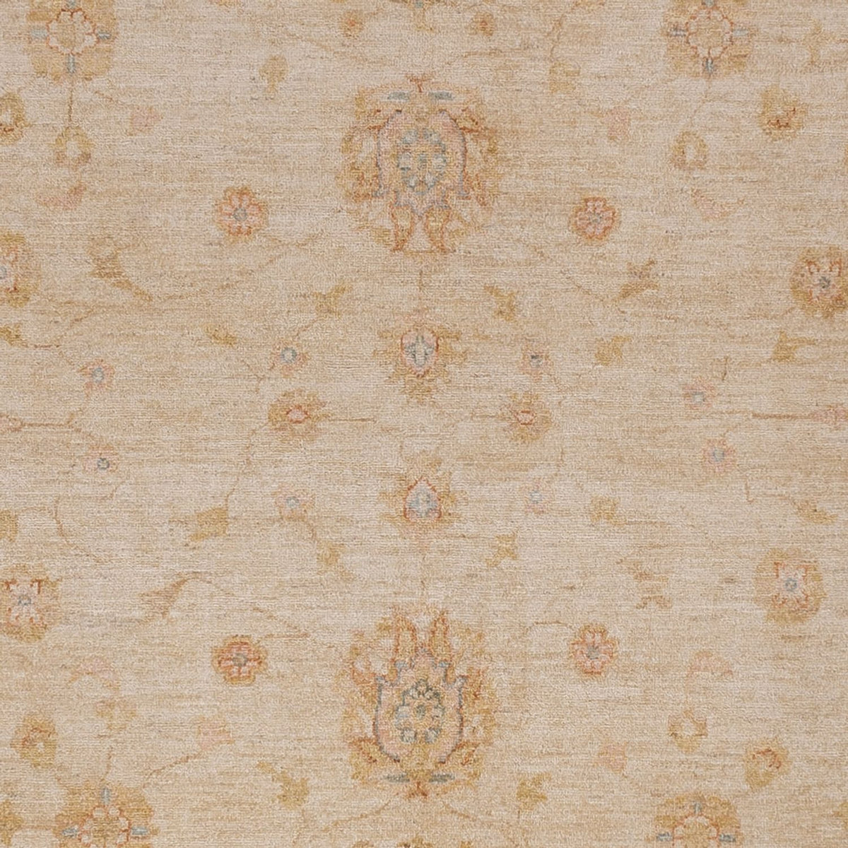 Alfombra Ziegler - 298 x 258 cm - beige