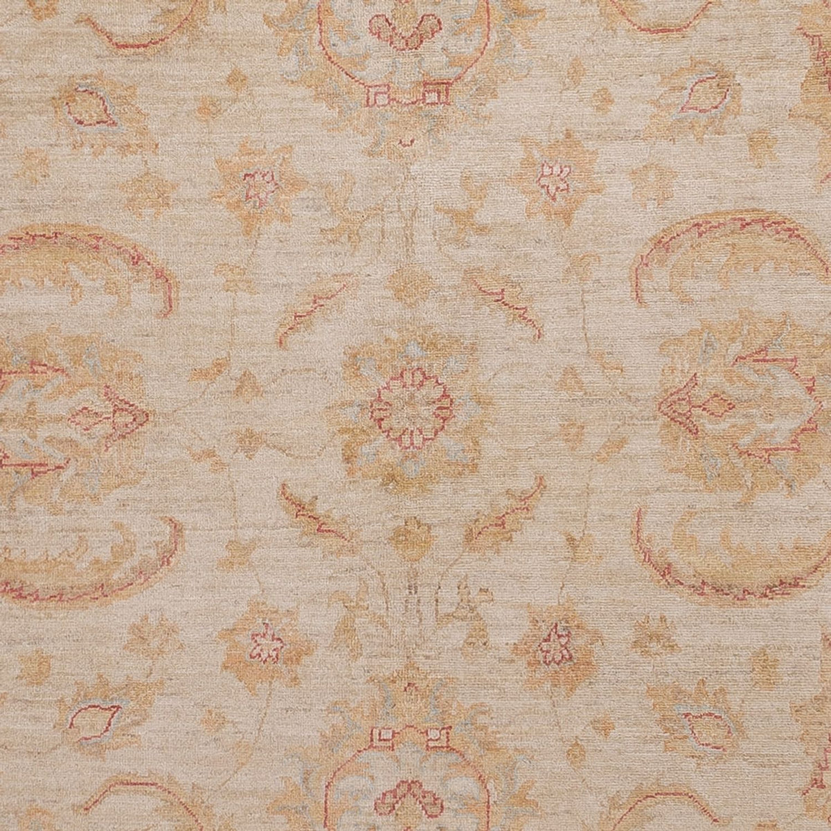 Alfombra Ziegler - 302 x 248 cm - beige