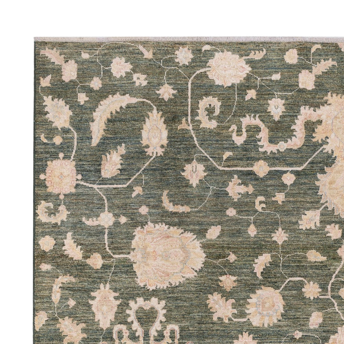 Alfombra Ziegler - Moderna - 308 x 251 cm - verde