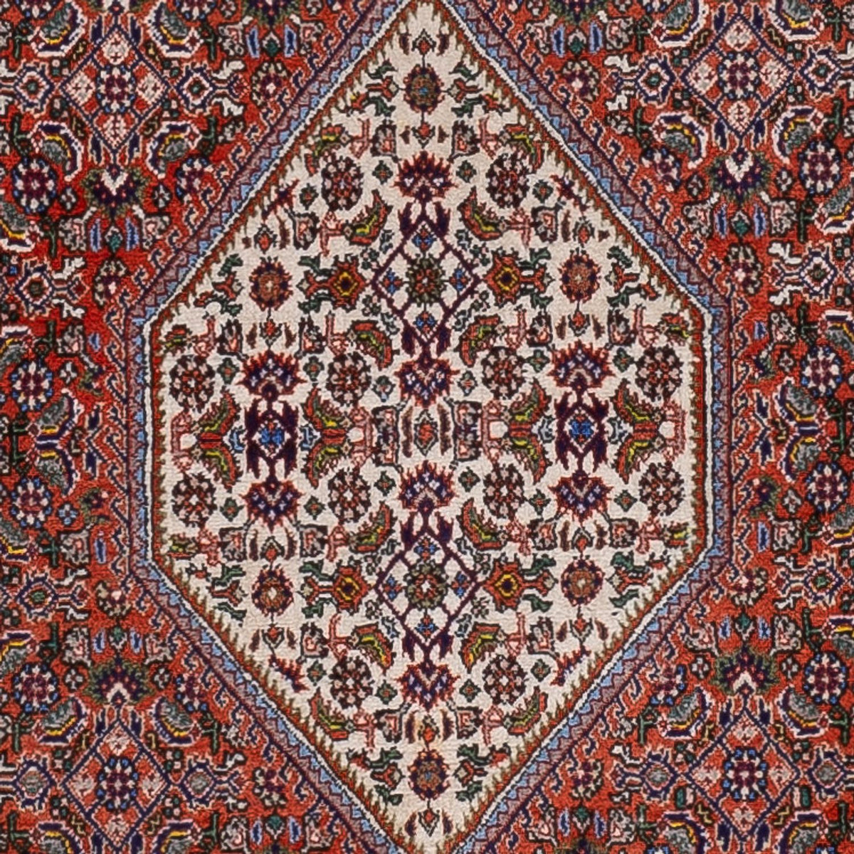 Alfombra persa - Bidjar - 166 x 112 cm - rojo
