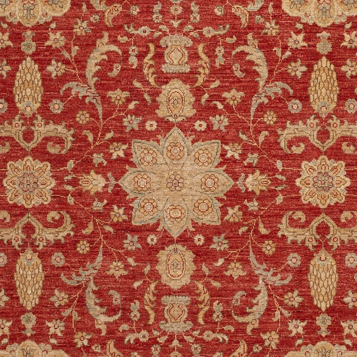 Alfombra Ziegler - Ariana - 304 x 245 cm - rojo