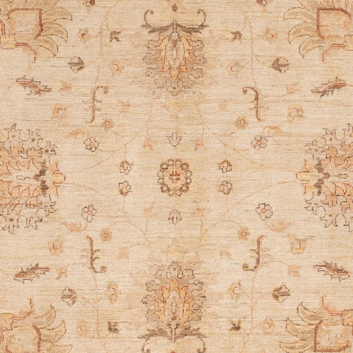 Alfombra Ziegler - 298 x 241 cm - beige