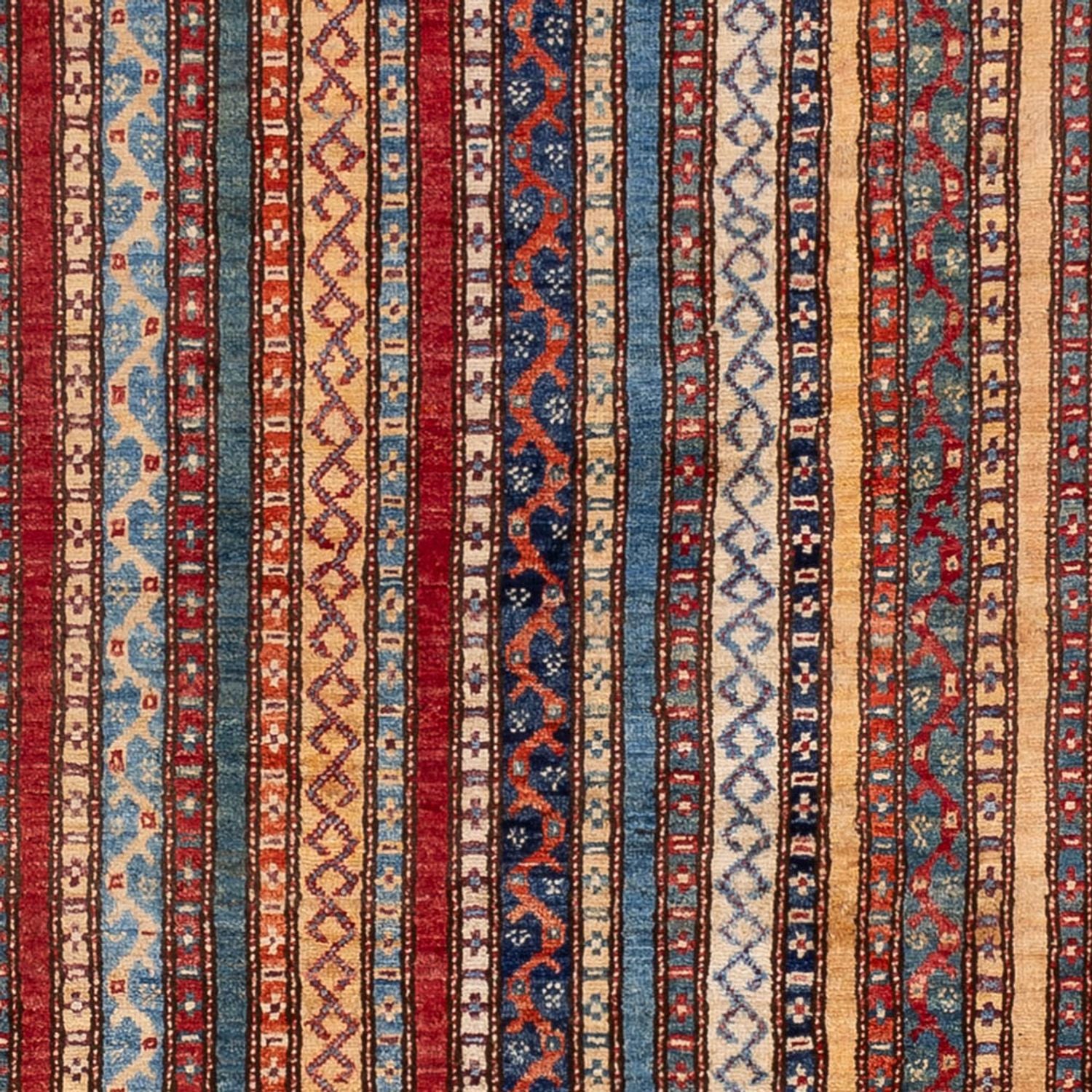 Alfombra Ziegler - Shal - 233 x 157 cm - multicolor