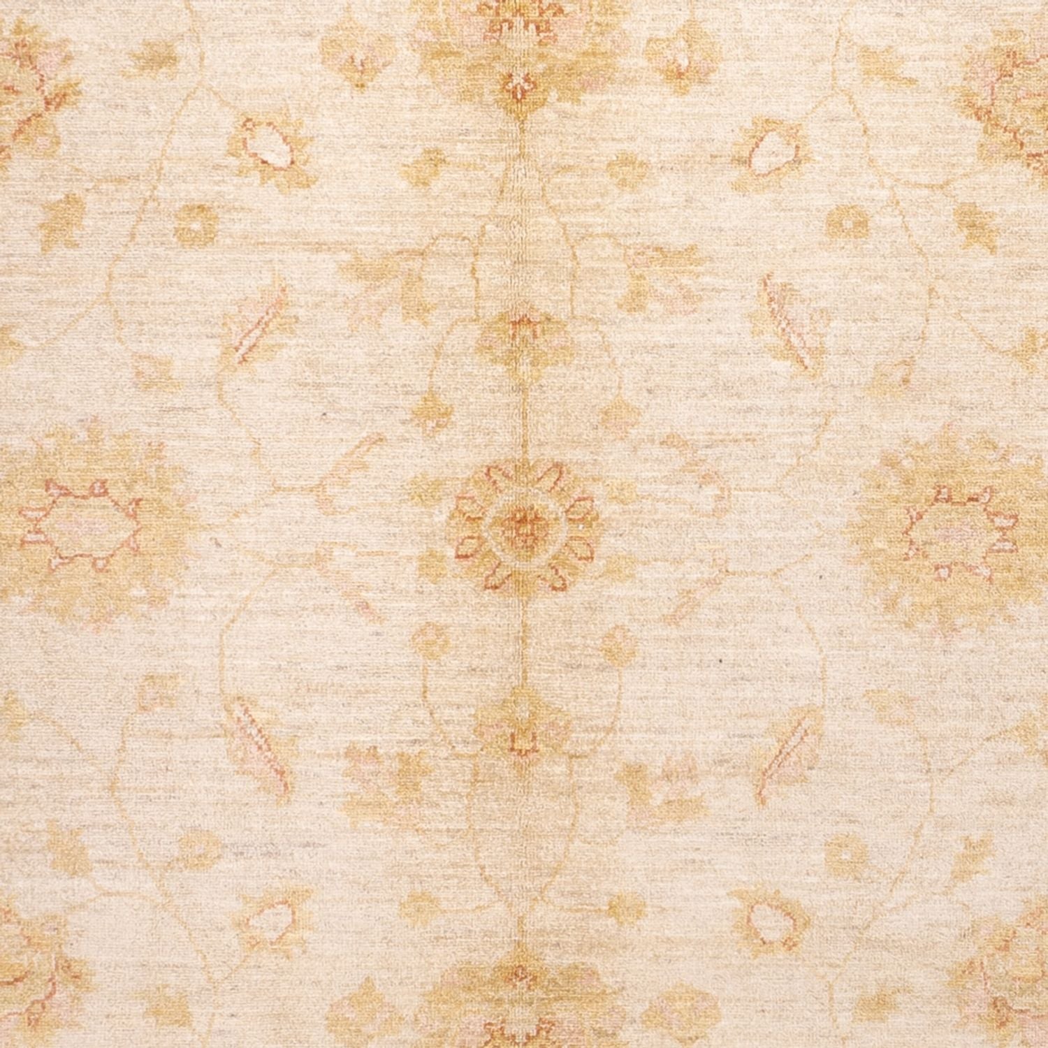 Alfombra Ziegler - 294 x 205 cm - beige
