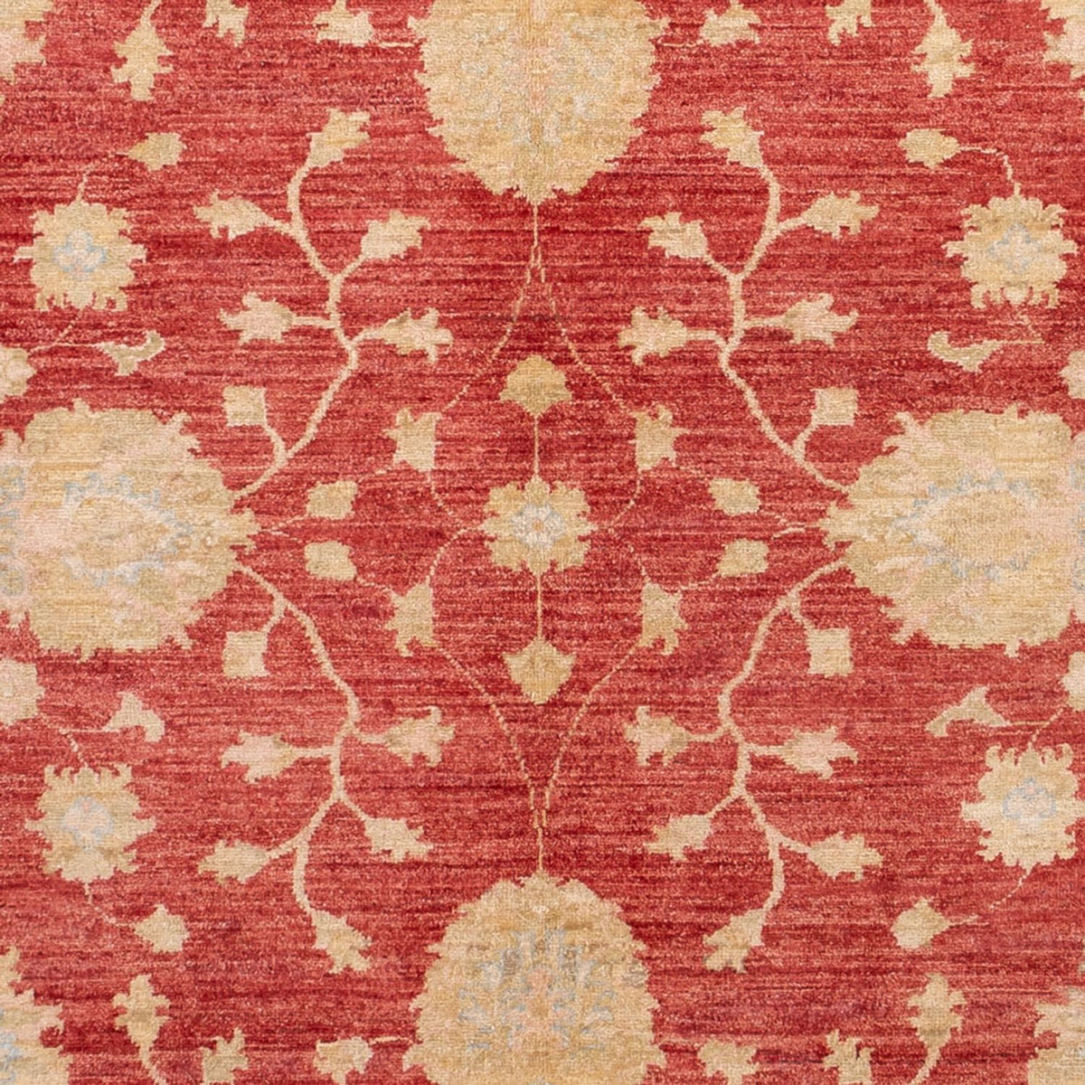 Alfombra Ziegler - 291 x 207 cm - rojo