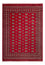 Alfombra afgana - Bukhara - 292 x 206 cm - rojo