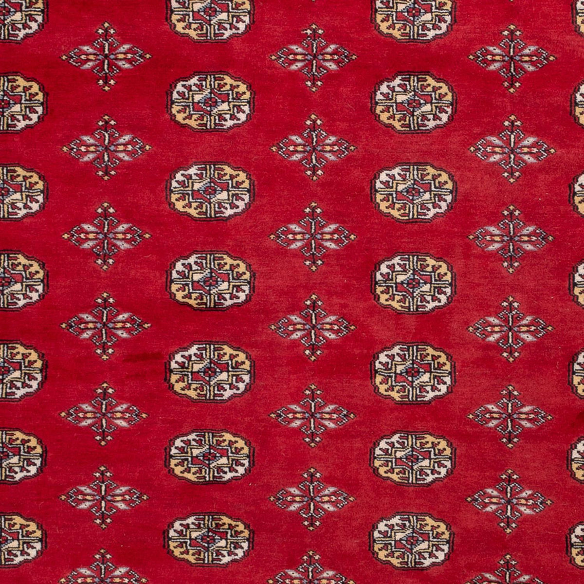 Alfombra afgana - Bukhara - 292 x 206 cm - rojo