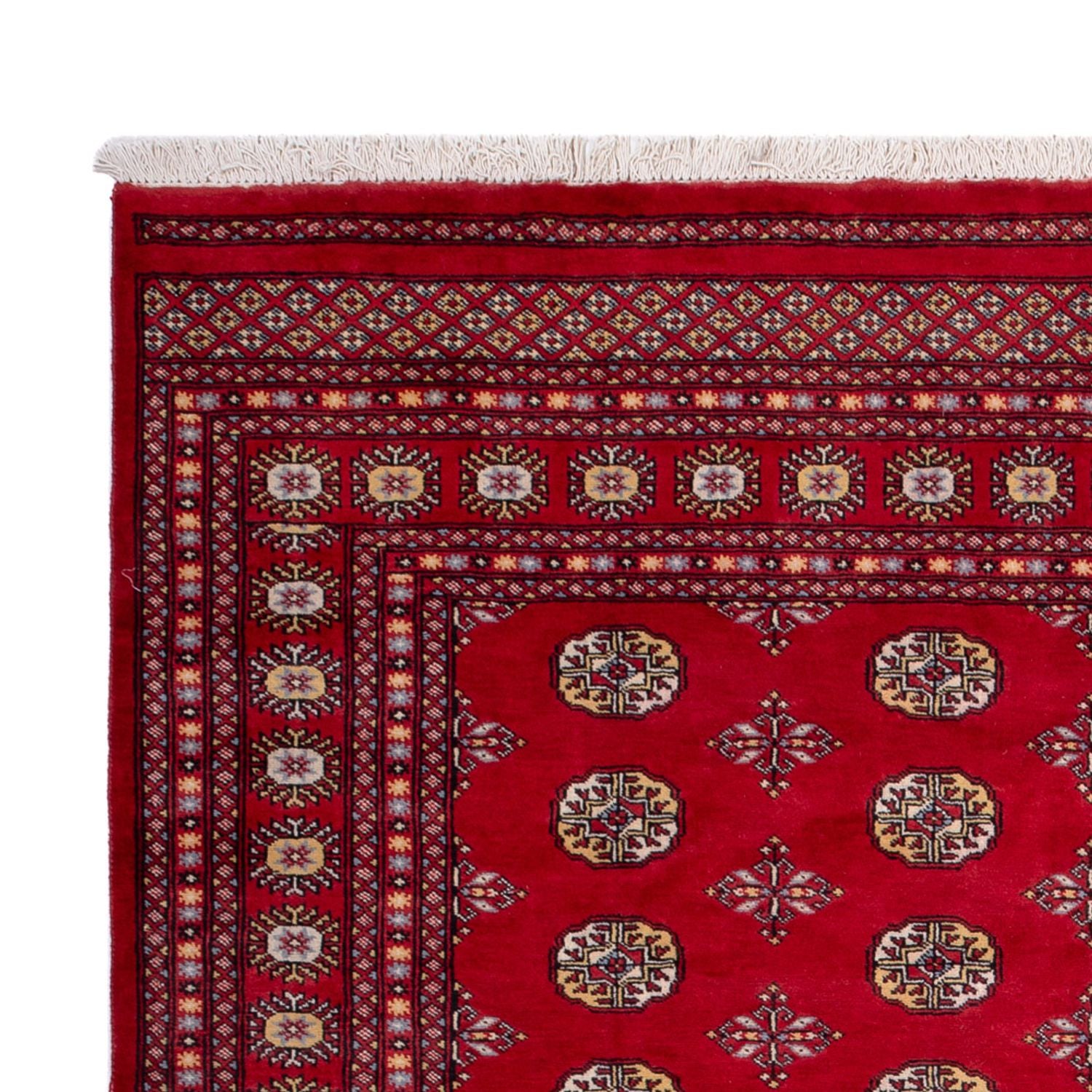 Alfombra afgana - Bukhara - 292 x 206 cm - rojo
