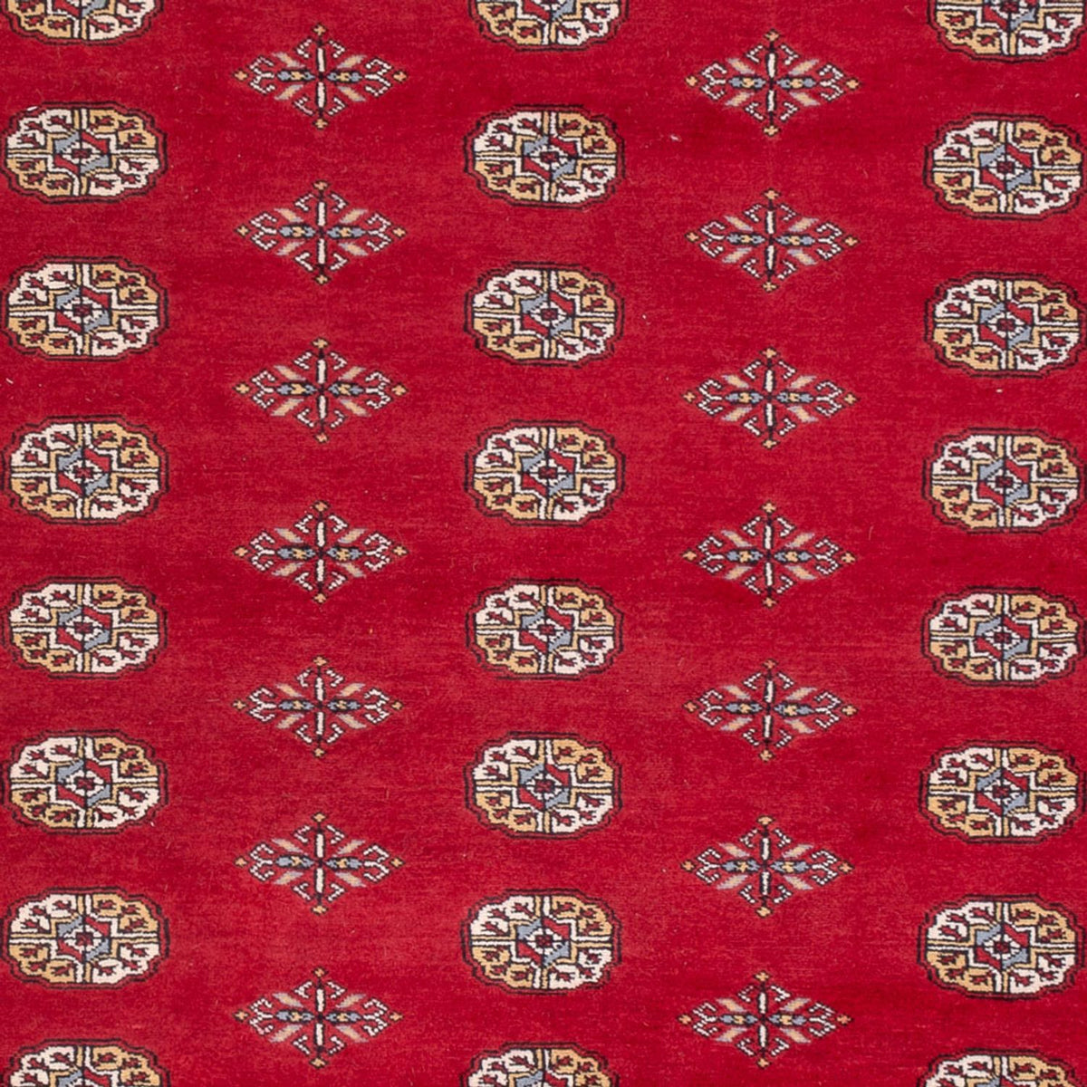 Alfombra afgana - Bukhara - 307 x 201 cm - rojo