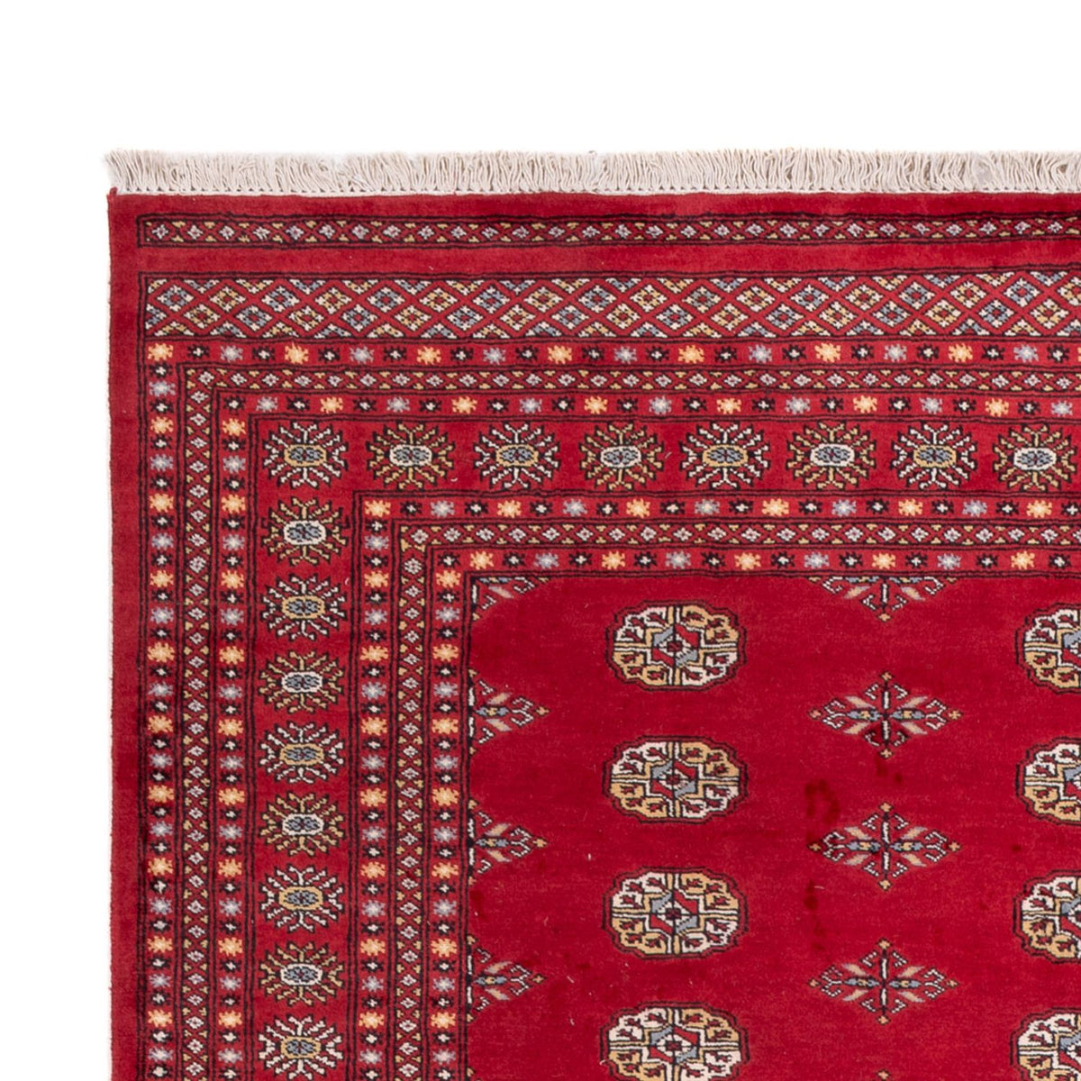 Alfombra afgana - Bukhara - 307 x 201 cm - rojo
