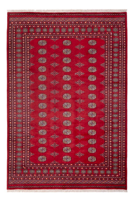Alfombra afgana - Bukhara - 300 x 201 cm - rojo