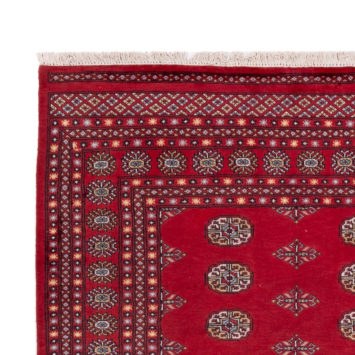 Alfombra afgana - Bukhara - 300 x 201 cm - rojo