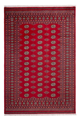 Alfombra afgana - Bukhara - 302 x 200 cm - rojo