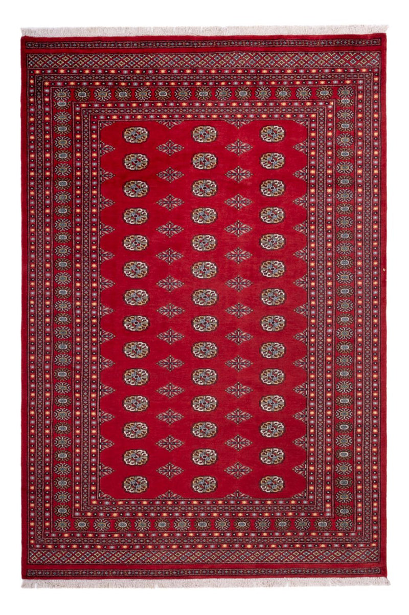Alfombra afgana - Bukhara - 302 x 200 cm - rojo