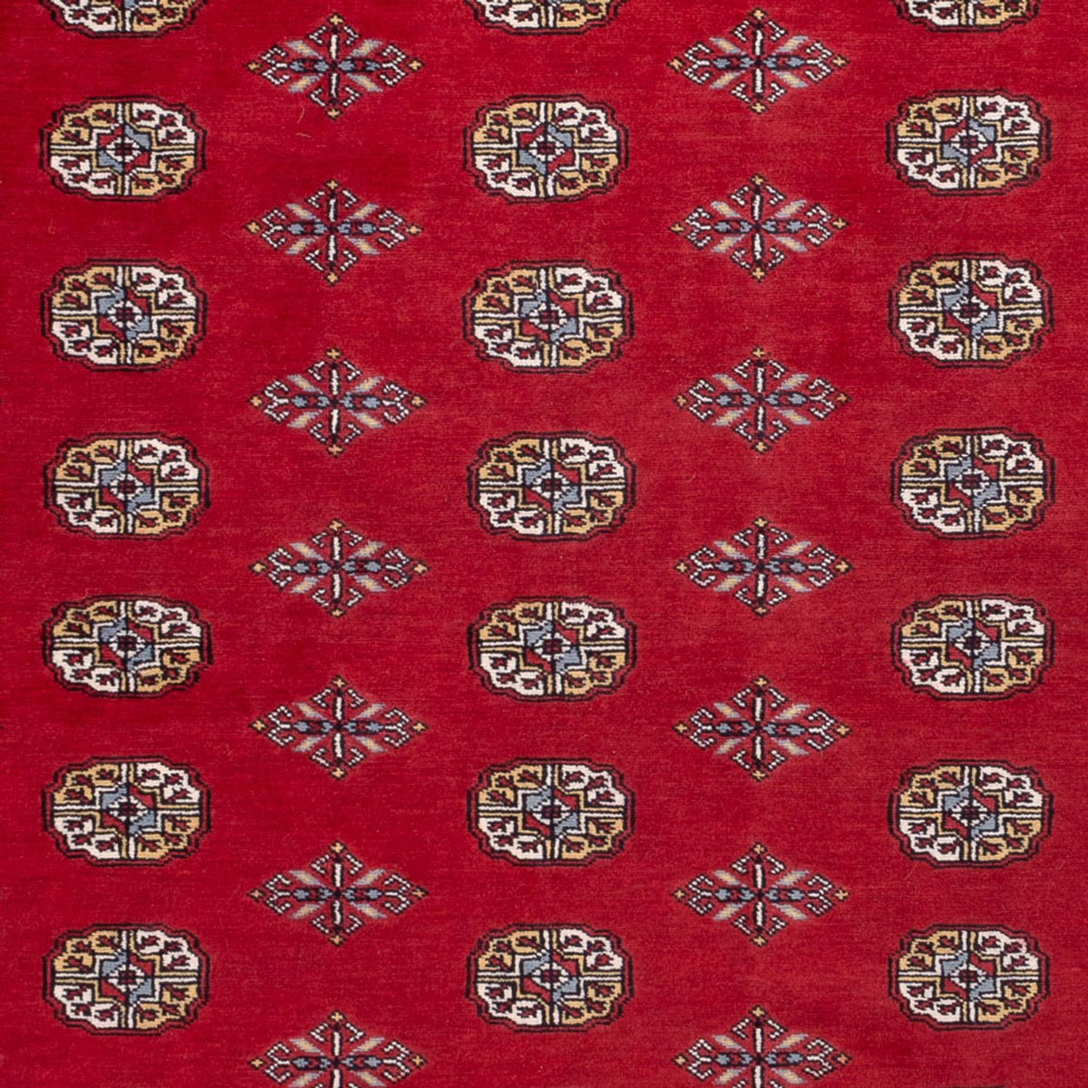 Alfombra afgana - Bukhara - 302 x 200 cm - rojo