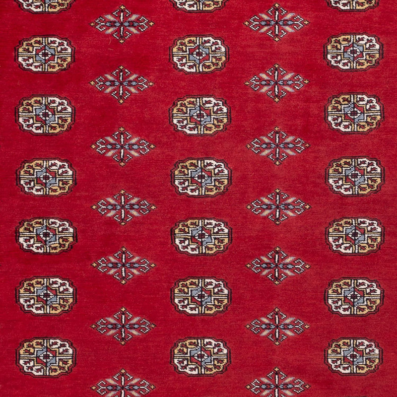 Alfombra afgana - Bukhara - 302 x 200 cm - rojo