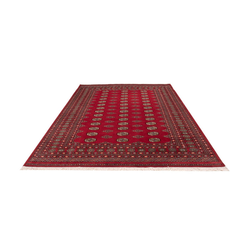 Alfombra afgana - Bukhara - 302 x 200 cm - rojo