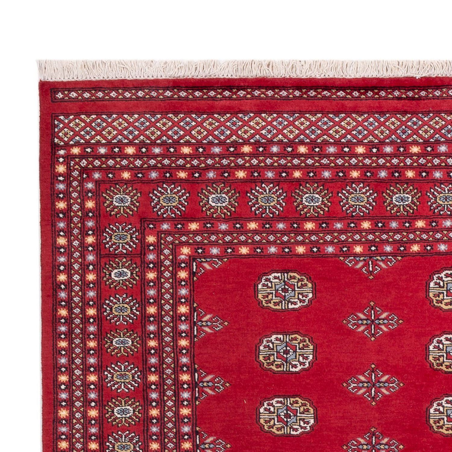 Alfombra afgana - Bukhara - 316 x 203 cm - rojo