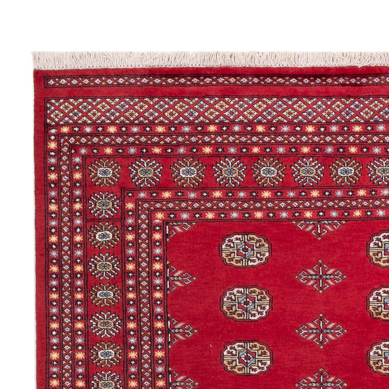 Alfombra afgana - Bukhara - 316 x 203 cm - rojo