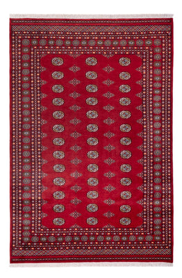 Alfombra afgana - Bukhara - 294 x 198 cm - rojo