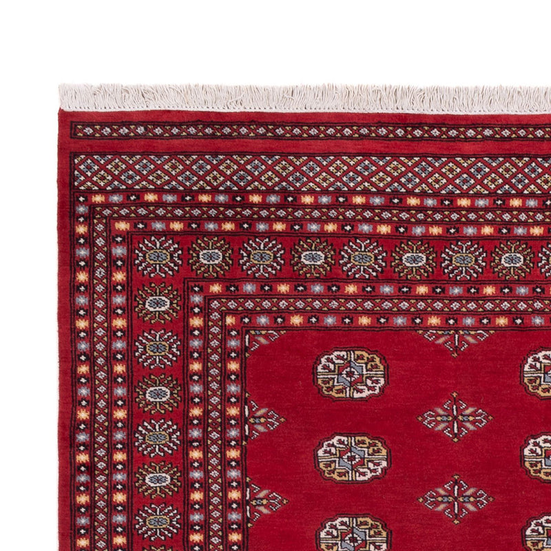 Alfombra afgana - Bukhara - 294 x 198 cm - rojo