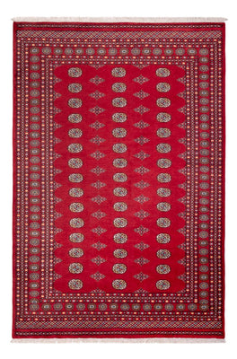 Alfombra afgana - Bukhara - 304 x 206 cm - rojo