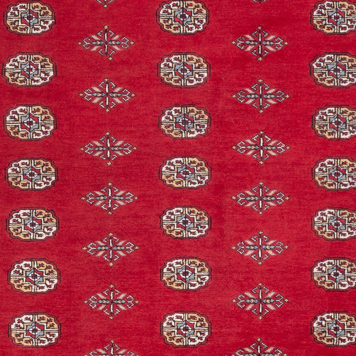 Alfombra afgana - Bukhara - 304 x 206 cm - rojo