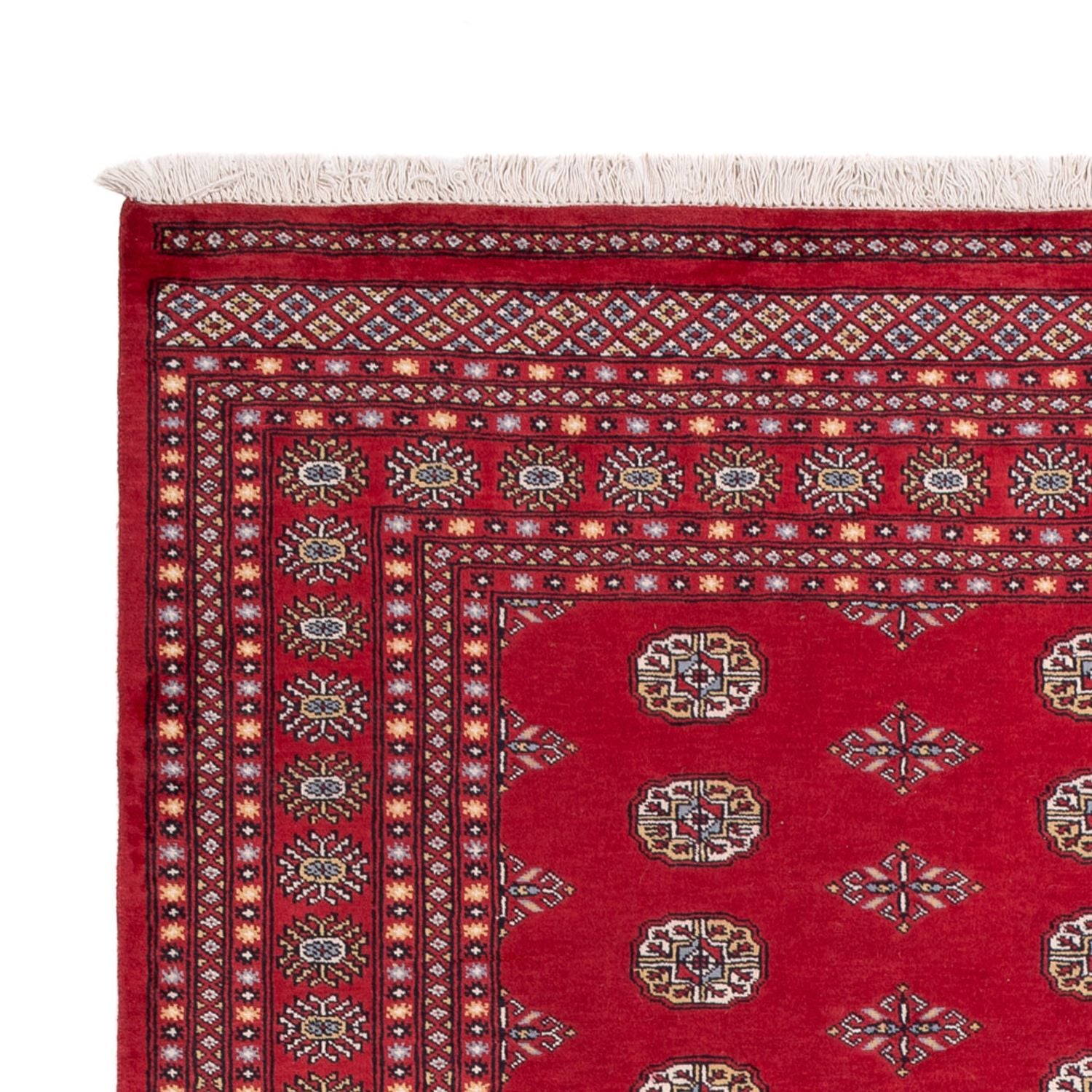 Alfombra afgana - Bukhara - 304 x 206 cm - rojo