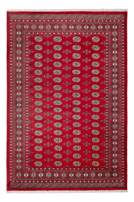 Alfombra afgana - Bukhara - 313 x 207 cm - rojo