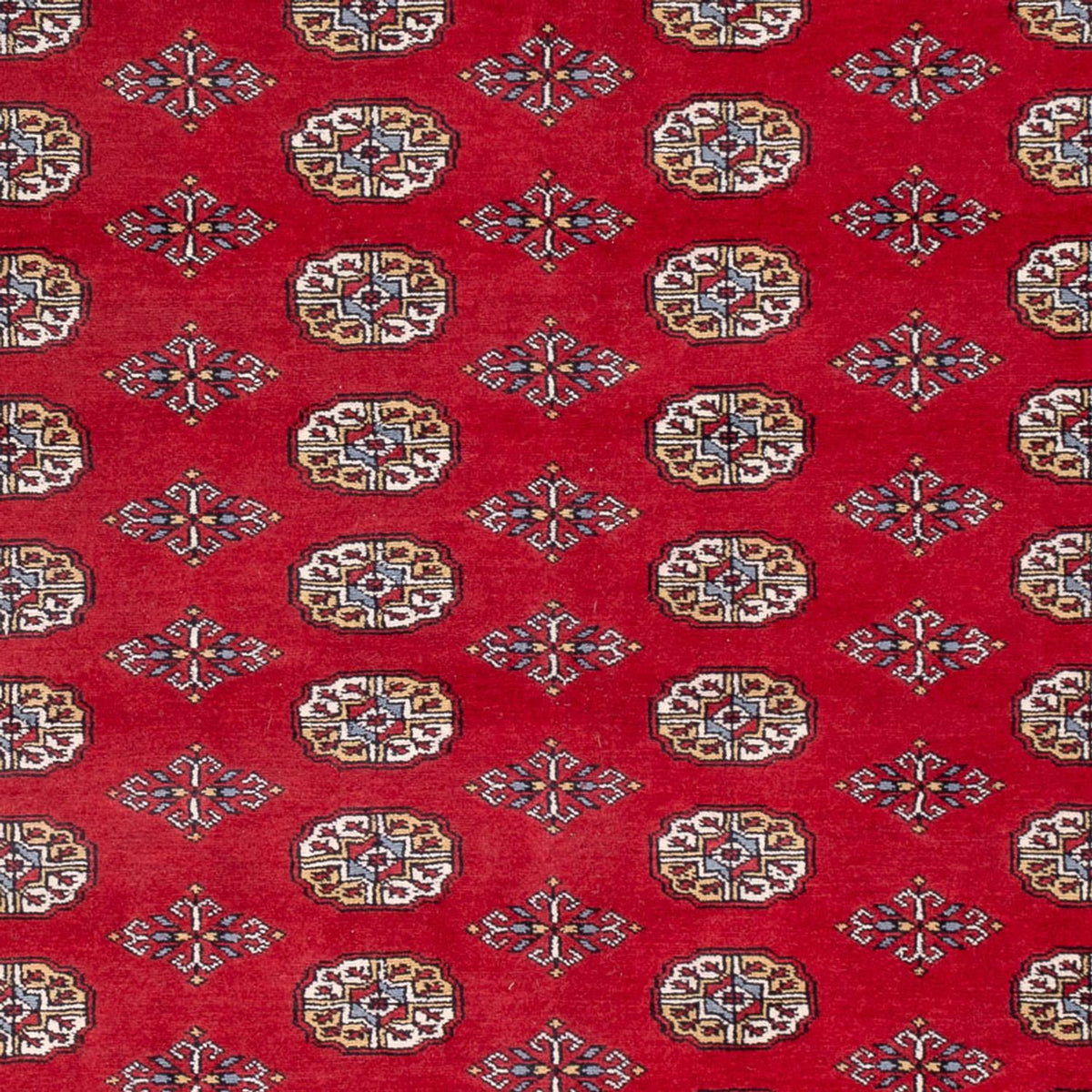 Alfombra afgana - Bukhara - 313 x 207 cm - rojo