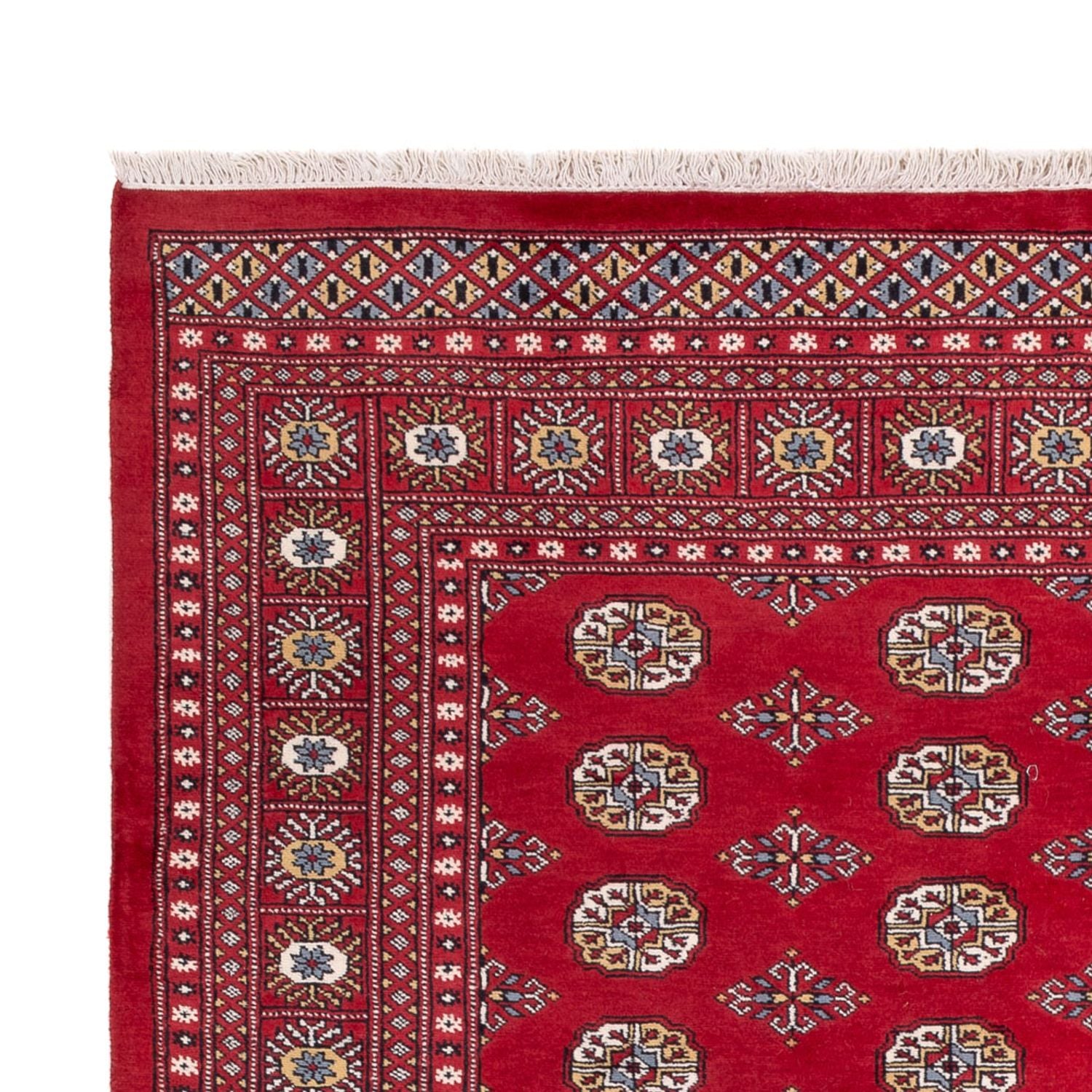 Alfombra afgana - Bukhara - 313 x 207 cm - rojo