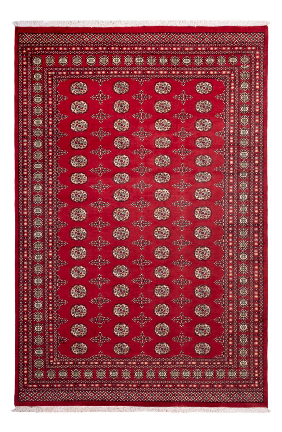 Alfombra afgana - Bukhara - 318 x 210 cm - rojo