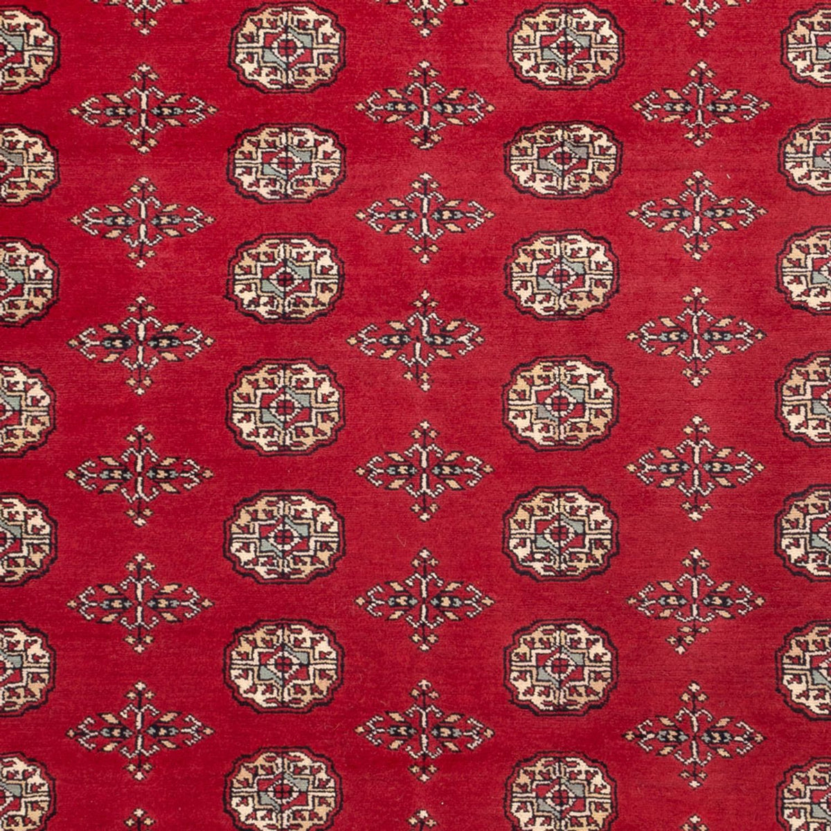 Alfombra afgana - Bukhara - 318 x 210 cm - rojo