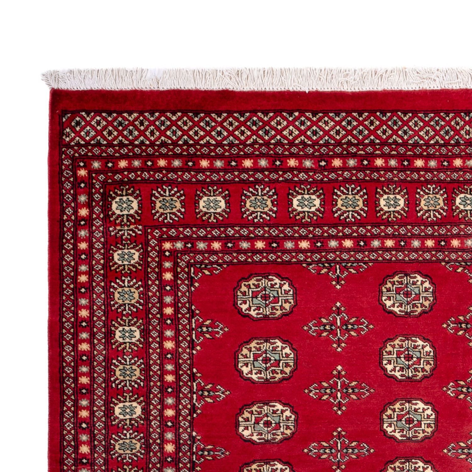 Alfombra afgana - Bukhara - 318 x 210 cm - rojo