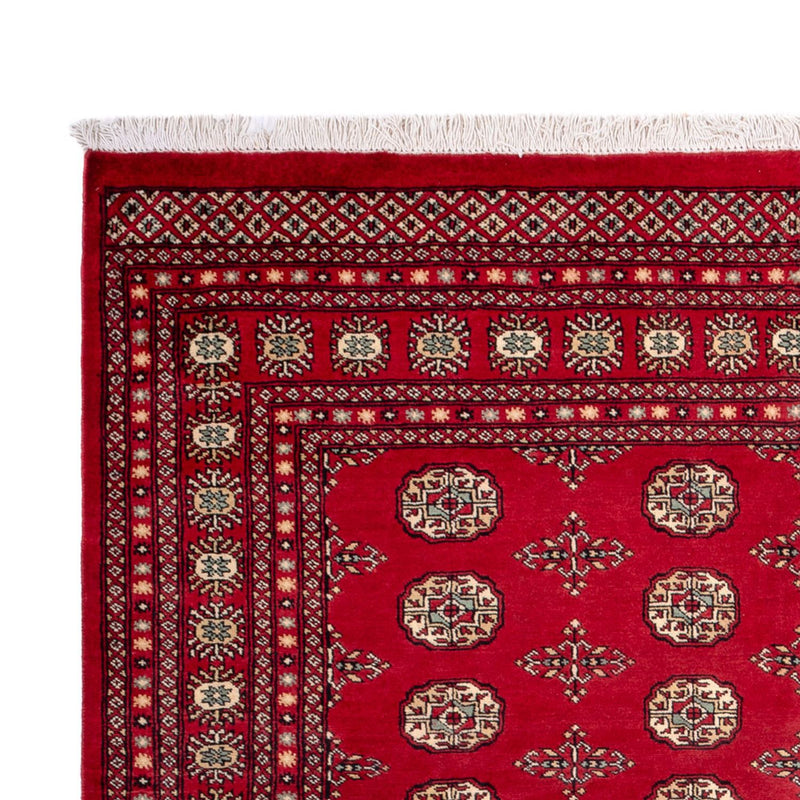 Alfombra afgana - Bukhara - 318 x 210 cm - rojo