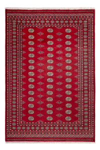 Alfombra afgana - Bukhara - 308 x 207 cm - rojo