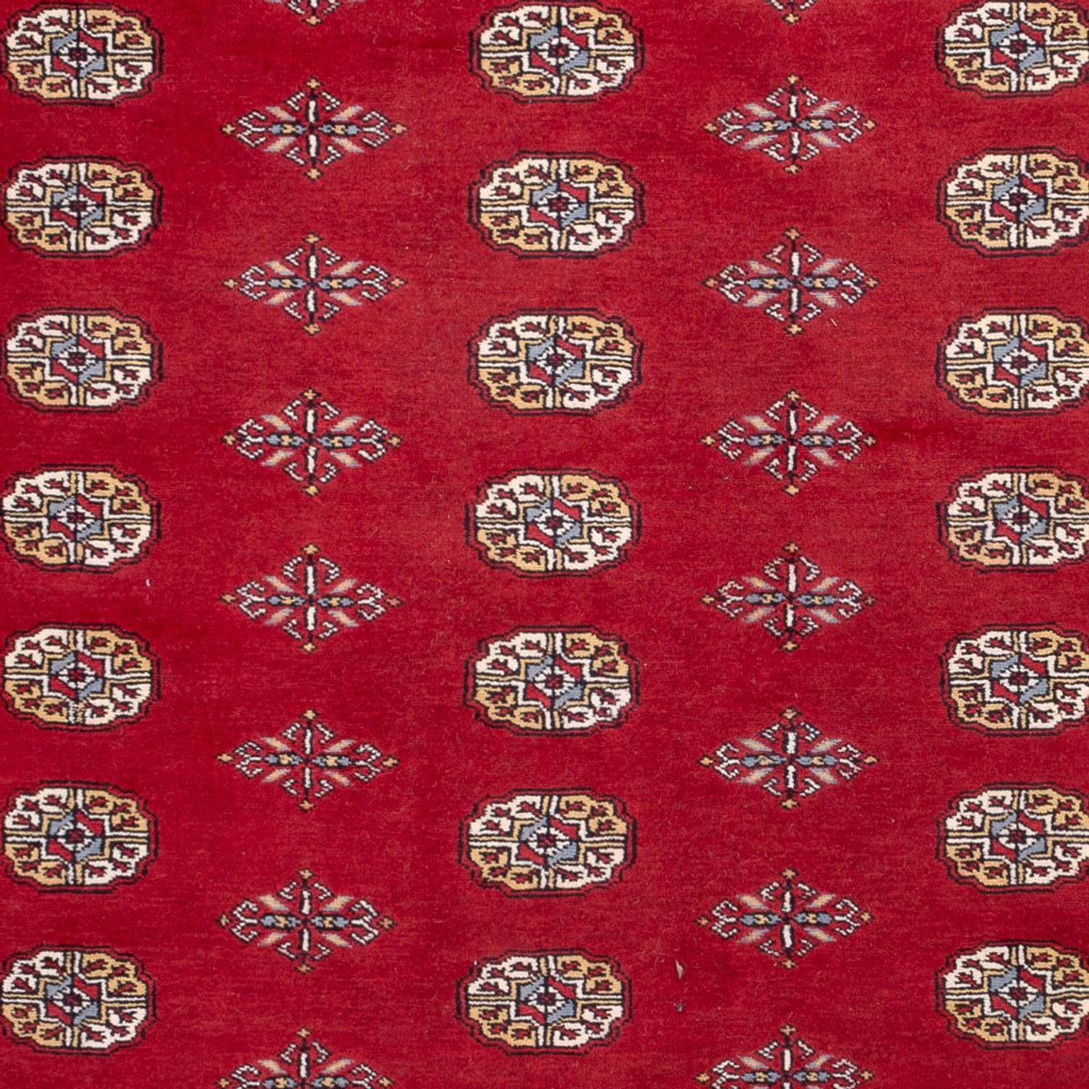 Alfombra afgana - Bukhara - 308 x 207 cm - rojo