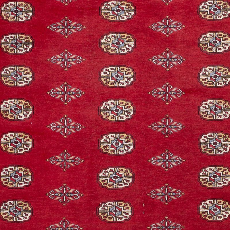 Alfombra afgana - Bukhara - 308 x 207 cm - rojo